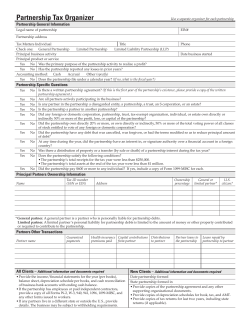 2015 Partnership Tax Organizer