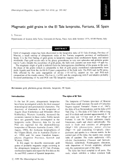 Magmatic gold grains in the E!
