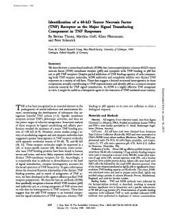 Identification of a 60-kD Tumor Necrosis Factor (TNF) Receptor as