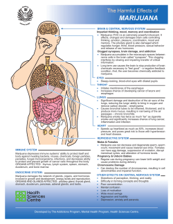 Harmful Effects of Marijuana