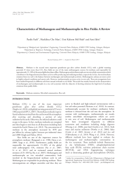 Characteristics of Methanogens and Methanotrophs in Rice Fields