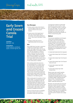 Early Sown and Grazed Canola Trial