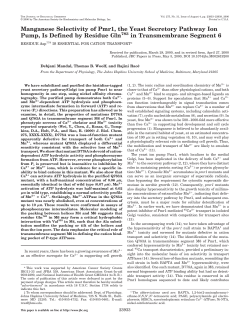 Manganese Selectivity of Pmr1, the Yeast Secretory Pathway Ion