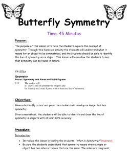 Butterfly Symmetry