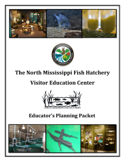 The North Mississippi Fish Hatchery Visitor Education Center