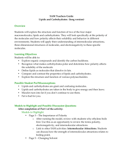 Lipids And carbohydrates Long.ver8 - RI