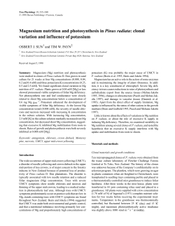 Magnesium nutrition and photosynthesis in Pinus radiata: clonal