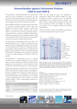 Autoantibodies against Centromere Proteins CENP-A and CENP-B