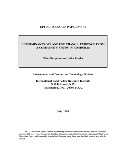 EPTD DISCUSSION PAPER NO. 46