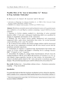 Possible Role of Na+ Ions in Intracellular Ca2+ Release in Frog