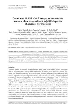 Co-located 18S/5S rDNA arrays: an ancient and unusual