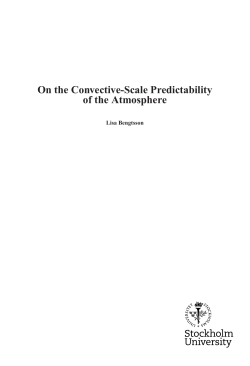 On the Convective-Scale Predictability of the Atmosphere