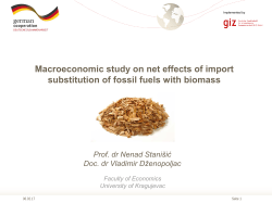 Macroeconomic study on net effects of import substitution of