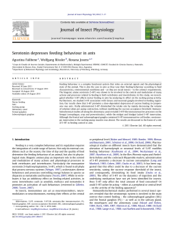 Serotonin depresses feeding behaviour in ants