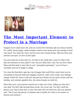 The Most Important Element to Protect in a Marriage