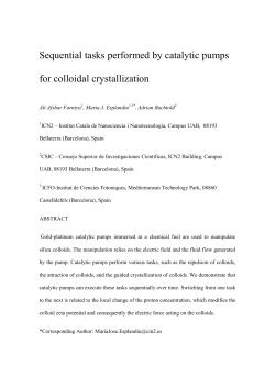 PDF only - at www.arxiv.org.