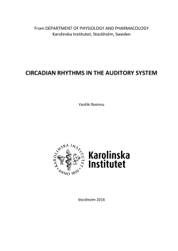 CIRCADIAN RHYTHMS IN THE AUDITORY SYSTEM
