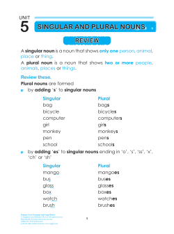 5 singular and plural nouns