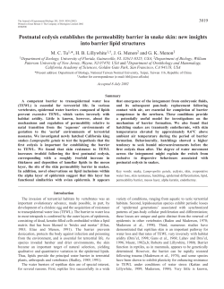 Postnatal ecdysis establishes the permeability barrier in snake skin