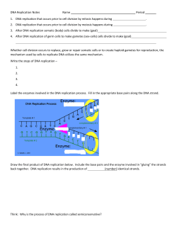 DNA Replication Worksheet