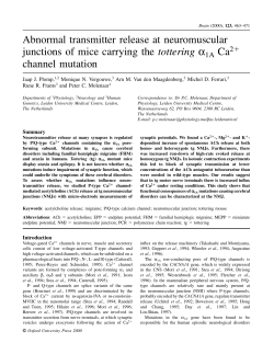 Abnormal transmitter release at neuromuscular junctions of