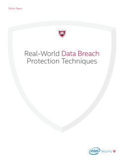 Real-World Data Breach Protection Techniques