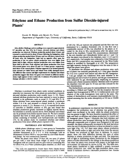 Plants - Plant Physiology