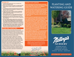 planting and watering guide