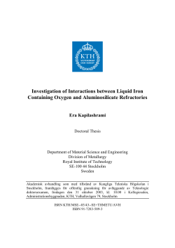 Investigation of Interactions between Liquid Iron Containing Oxygen