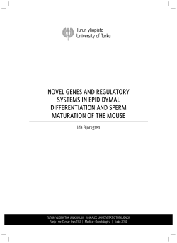 Novel genes and regulatory systems in epididymal