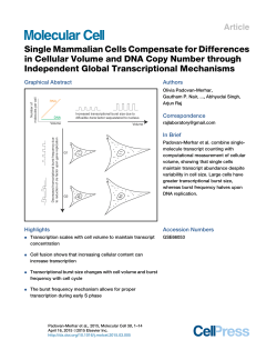 Single Mammalian Cells Compensate for Differences in Cellular