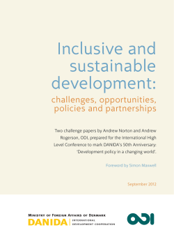 Inclusive and sustainable development