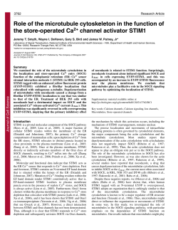 Role of the microtubule cytoskeleton in the function of the store