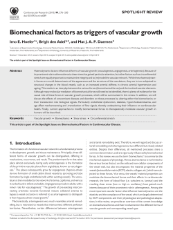Biomechanical factors as triggers of vascular growth