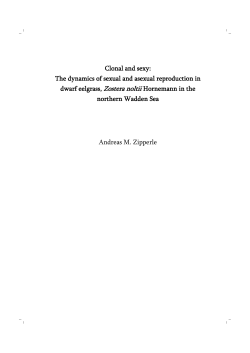 Clonal and sexy: The dynamics of sexual and asexual reproduction