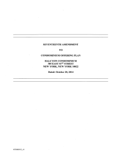 SEVENTEENTH AMENDMENT TO CONDOMINIUM