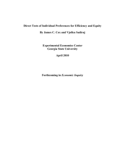Direct Tests of Individual Preferences for Efficiency and Equity