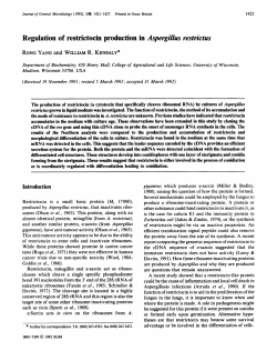 Regulation of restrictocin production in Aspergillus