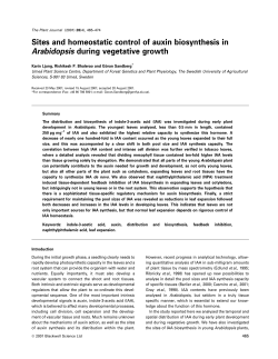 Sites and homeostatic control of auxin biosynthesis in Arabidopsis