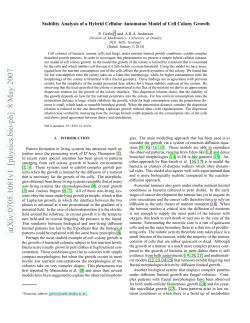 Stability Analysis of a Hybrid Cellular Automaton Model of Cell