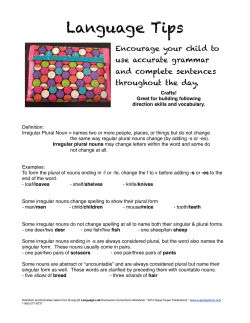 Irregular Plural Noun