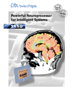 Powerful Neuroprocessor for Intelligent Systems SAND