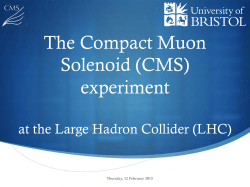The Compact Muon Solenoid (CMS) experiment