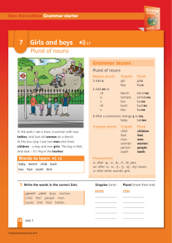 Plural of nouns