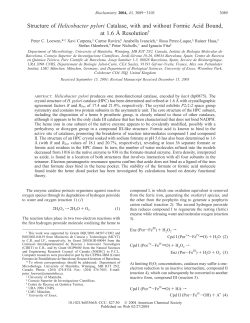 Structure of Helicobacter pylori Catalase, with and without Formic
