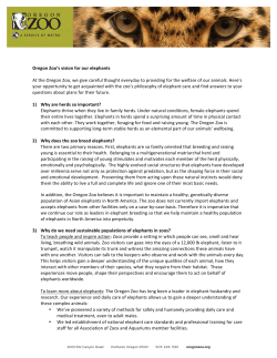 elephants - Oregon Zoo