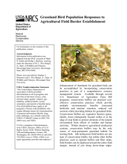 Grassland Bird Population Responses to Agricultural Field Border