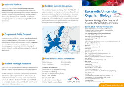 Eukaryotic Unicellular Organism Biology