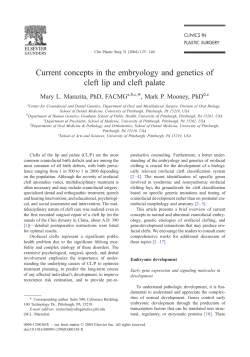 Current concepts in the embryology and genetics of cleft lip and cleft