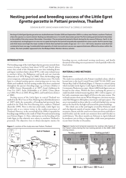 Nesting period and breeding success of the Little Egret Egretta